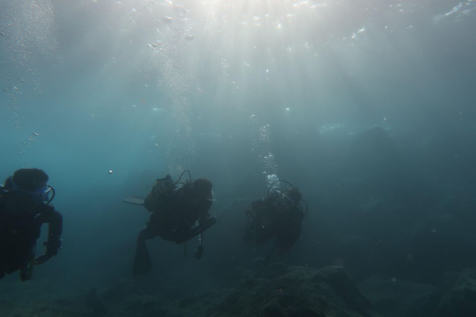 Hersonissos, Stalida: Beginner Scuba Diving Experience - Preparing for the Dive