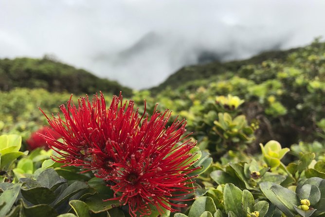 Hike Honolua Ridgeline - Booking and Payment Information