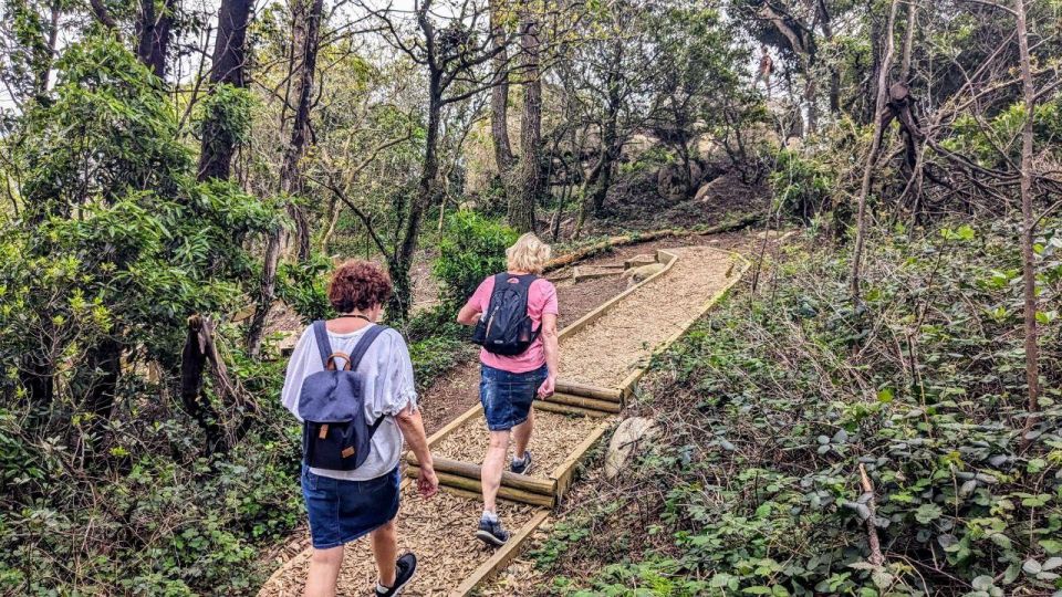 Hike to Sintras Highlights With a Dutch Guide! - What to Expect