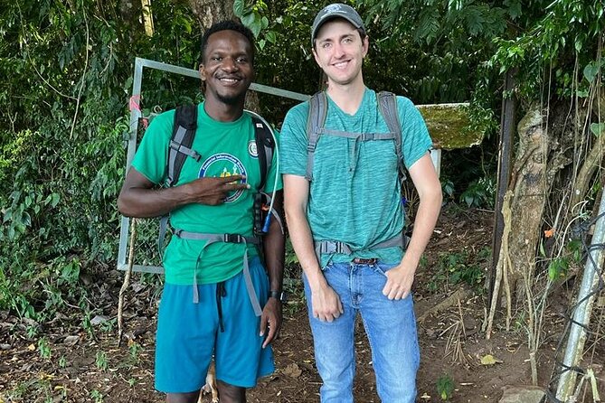 Hiking in Saint Kitts: Mount Liamuiga (Volcano) - Participant Experiences and Feedback