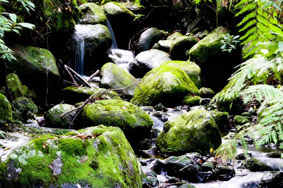 Hiking Levadas of Madeira: Levada Do Rei - Booking and Contact Information