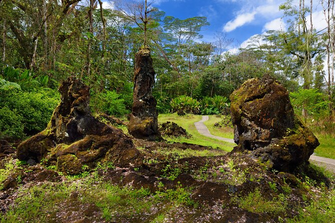 Hilo Shore Excursion: Safari Lava Caves, Falls and Highlights - Customer Experiences