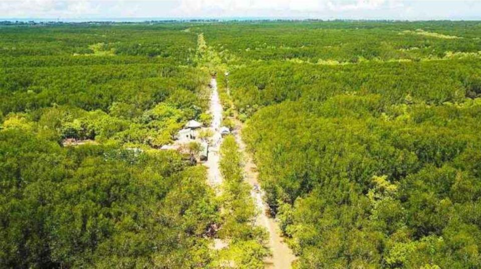 Ho Chi Minh: Private Eco Tour to Can Gio Mangrove Forest - Booking and Cancellation Policy