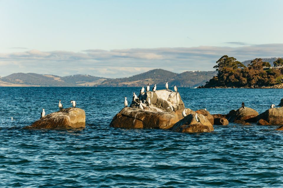 Hobart: 2.5-hour Iron Pot Lighthouse Cruise - Frequently Asked Questions