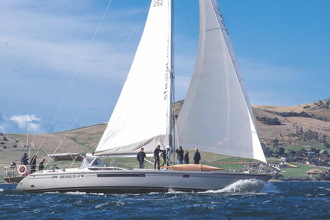 Hobart Sailing Experience - Customer Testimonials