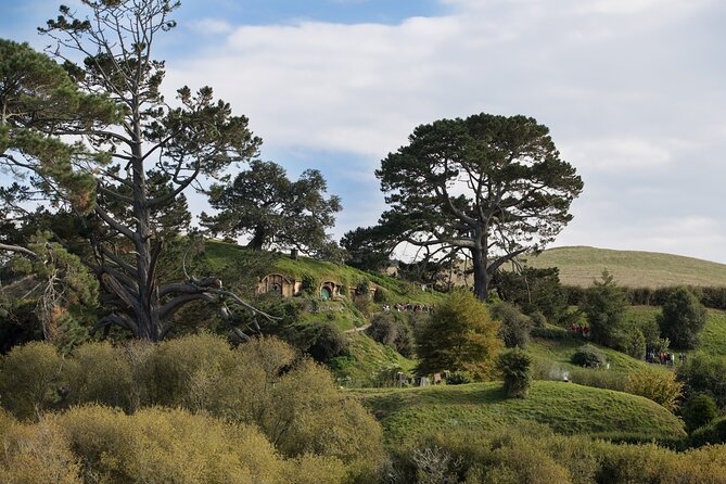Hobbiton Day Tour From Rotorua With Lunch at Hobbiton - Guest Experiences and Reviews