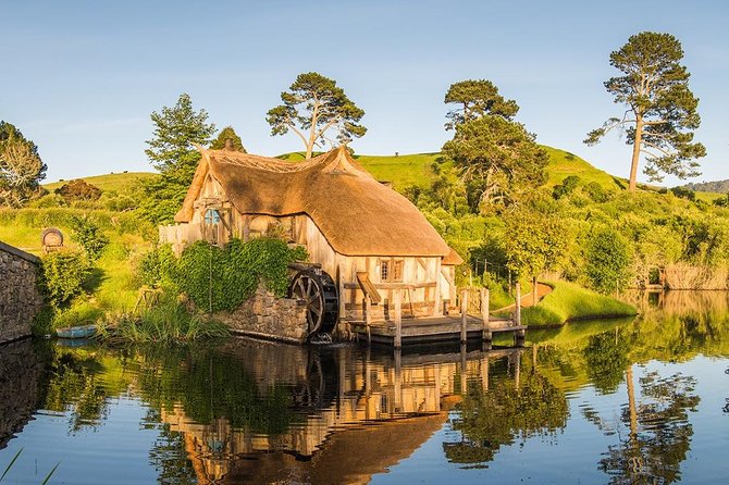 Hobbiton Movie Set Small Group Tour From Auckland - Reviews and Feedback