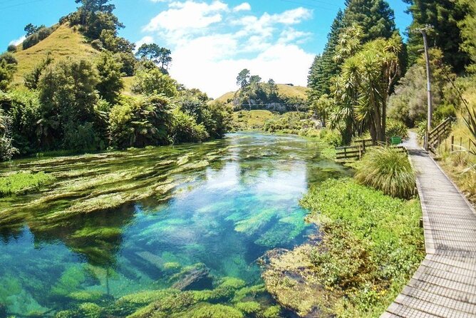 Hobbiton Movie Set Tour to Blue Springs and Mineral Spa - Accessibility Information
