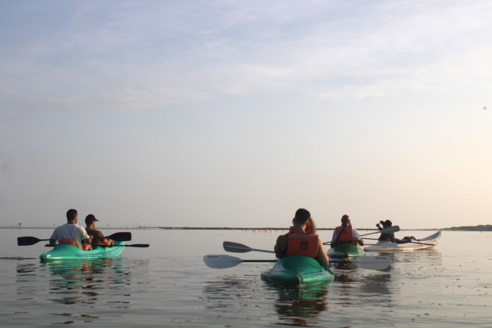 Holbox: Guided Sunrise Kayak Tour Through Mangrove Reserve - Booking and Pricing Information