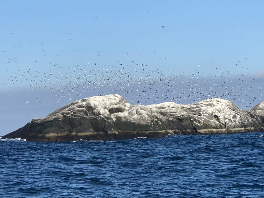 Honningsvåg: North Cape King Crab & Arctic Wildlife Safari - Local Culture and History