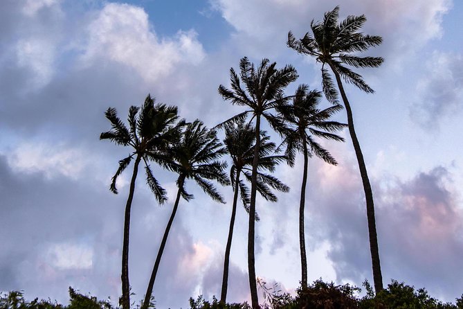 Honolulu Sea-Cliff With Sunset Photo Adventure - What to Expect on the Tour