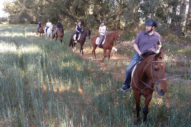 Horse Riding Excursion From Seville - Customization Options