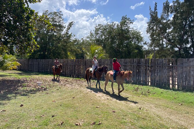 Horseback Ride and Swim Tour In Montego Bay - What to Expect During the Tour