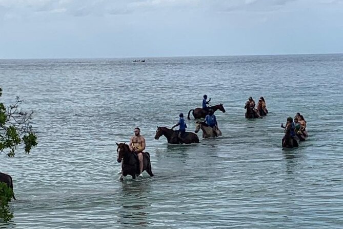 Horseback Ride, Zipline and ATV Adventure From Montego Bay - Lunch Options