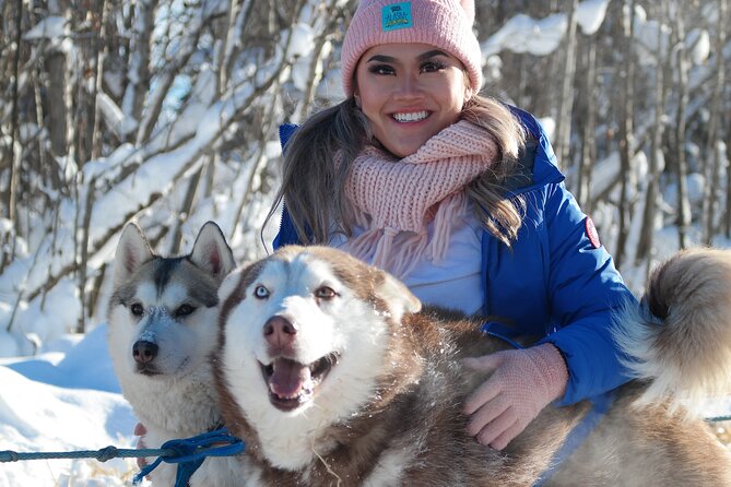 Husky Dog Sledding & Mushing With Pick up and Photo Service in Fairbanks, Alaska - Safety Measures
