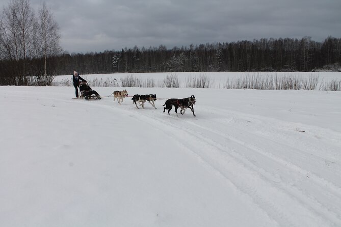 Husky Dog Sledding Tour From Riga - Cancellation Policy