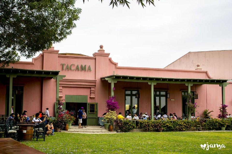 Ica: Pisco Wineries and Vineyards Day Tour - Tips for Your Visit
