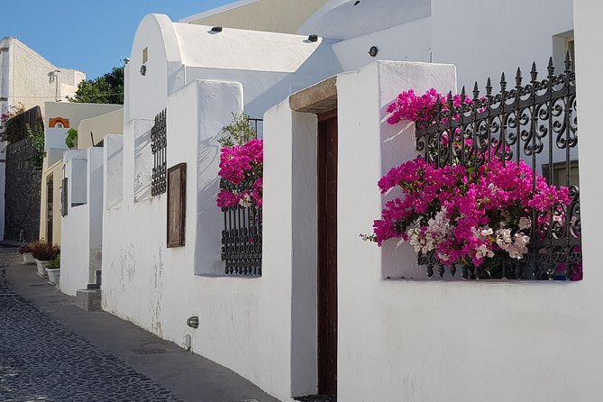 Intimate Santorini - Small Group Shore Excursion and Wine Tasting - Tips for an Enjoyable Experience