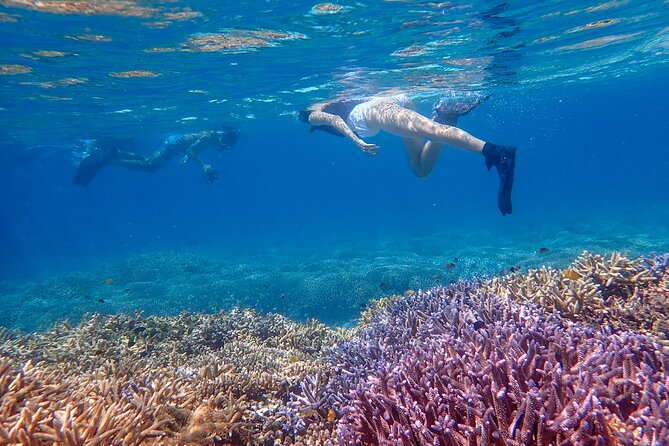 [Ishigaki] Snorkeling Tour At-Blue Cave and Phantom Island - Tips for a Great Experience