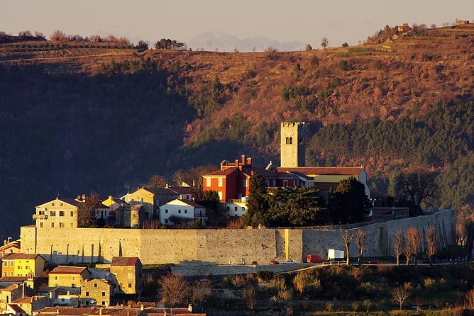 Istria in 1 Day Tour (from Pula or Medulin) - Exploring Grožnjan