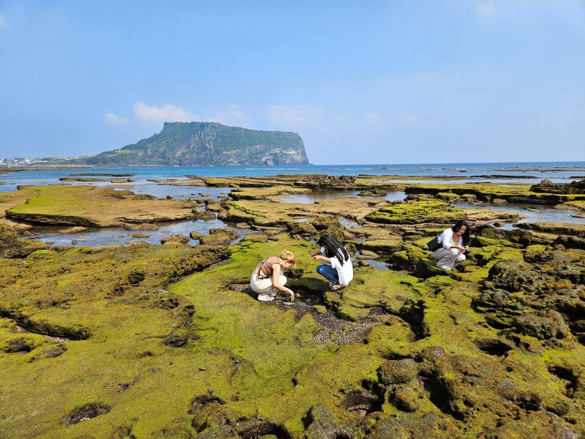 Jeju Island: Full-Day East Jeju Bus Tour With Local Lunch - Visiting Jeolmul Natural Recreation Forest