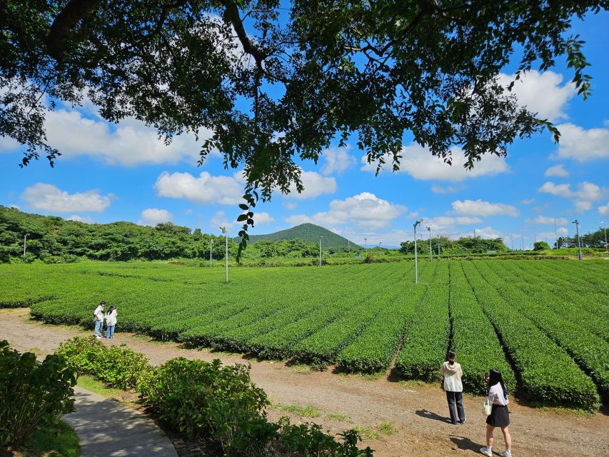 Jeju Island: Highlights Tour With Attraction Tickets & Lunch - Cheonjeyeon Waterfall Visit