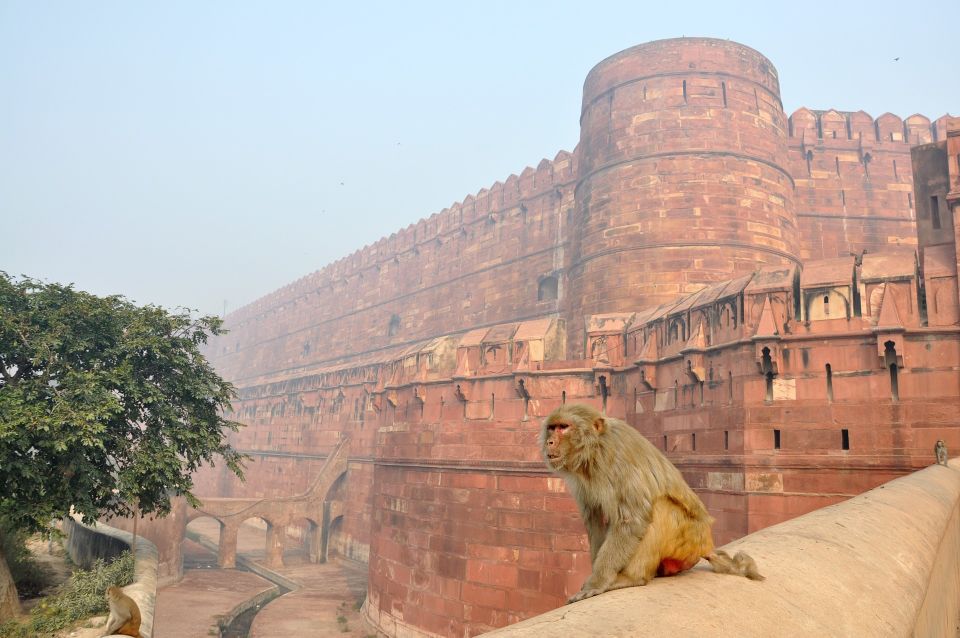 Jewels of India: Agra & Jaipur Expedition - Exclusions to Consider