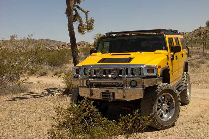 Joshua Tree National Park Air-Conditioned Tour - Ideal Packing Tips