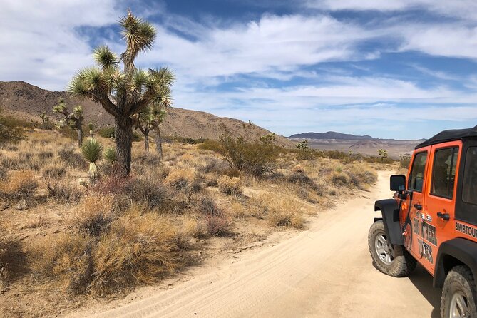 Joshua Tree National Park Offroad Tour - What to Expect on the Tour