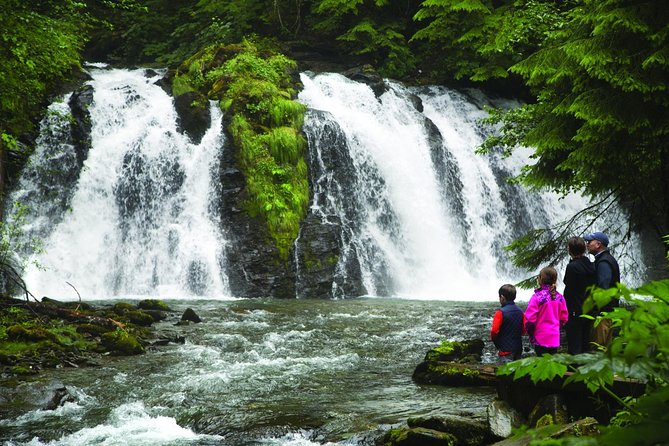 Juneau Whale Watching and Salmon Bake - Important Tour Information