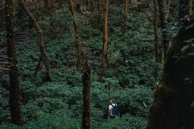 Jungle Wisdom Survival Trek - Cultural Exchange and Cooking