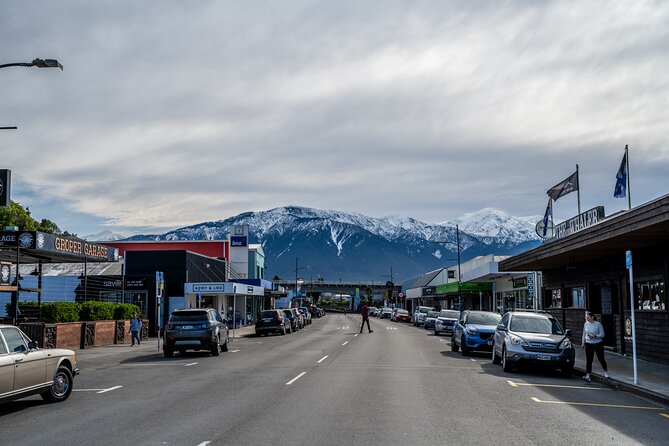 Kaikoura Day Tour With Kayak Experience From Christchurch - Tour Logistics and Accessibility