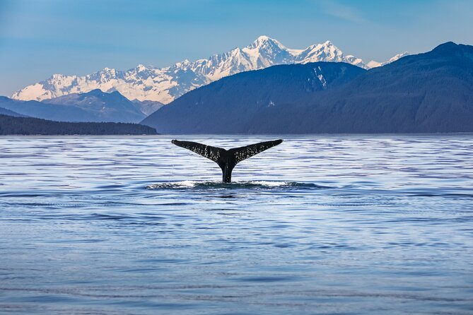 Kaikoura Day Trip From Christchurch (Small Group & Carbon Neutral) - Accessibility Features