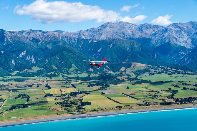 Kaikoura: Whale Watching Flight (Extended) - Customer Experiences