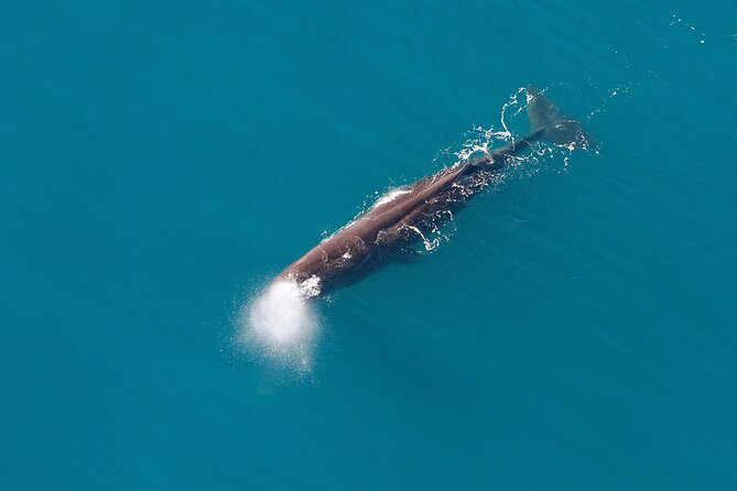Kaikoura Whales - Cancellation and Refund Policies
