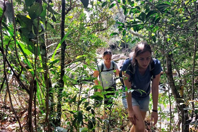 Kampot Day Tour Bokor National Park - Nepenthes Flower Fields