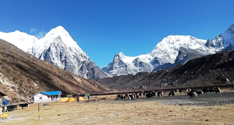 Kanchenjunga Base Camp Trek - Pricing and Booking Details