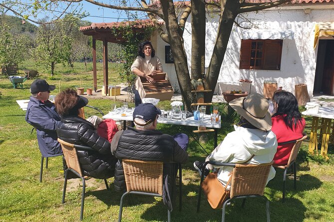 Katakolon Shore Excursion: Olympic Site, Honey/Olive Oil Tasting - Cancellation Policy