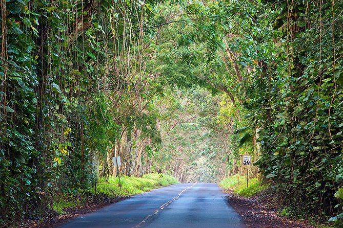 Kauai Highlights Small Group Tour. a Taste of the South & West - Customer Experiences