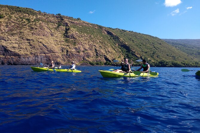 Kayak Snorkel Capt. Cook Monu. See Dolphins in Kealakekua Bay, Big Island (5 Hr) - Marine Life Encounters