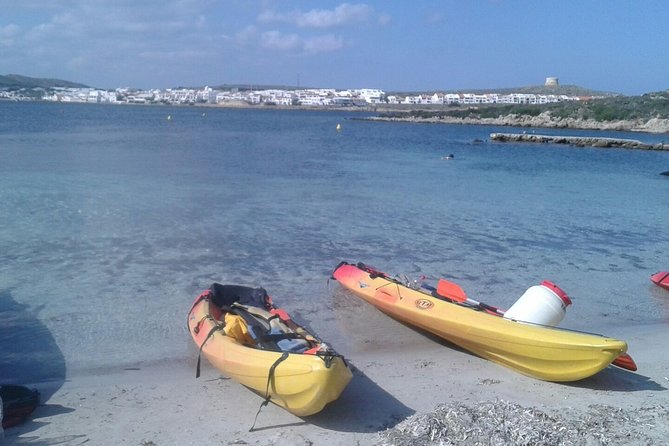 Kayak Tour in the Marine Reserve ! - Exploring the Marine Reserve