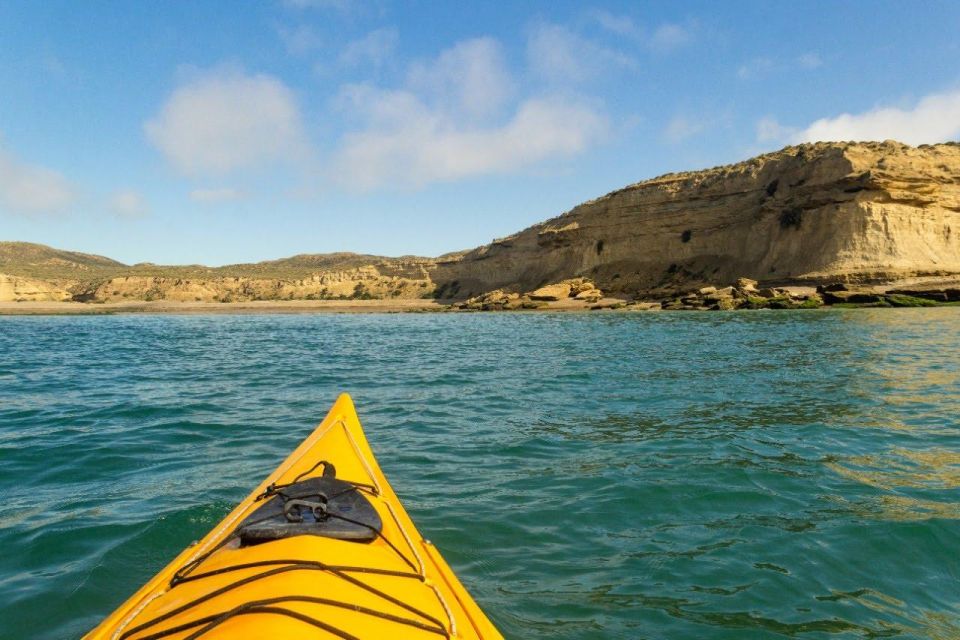 Kayaking Adventure in Puerto Madryn - Booking Your Kayaking Trip