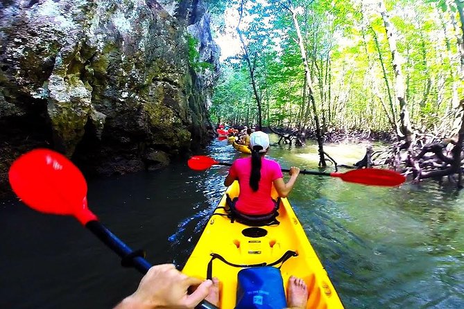 Kayaking in Ao Thalane - Discover the Mangrove Life - Safety Measures and Accessibility