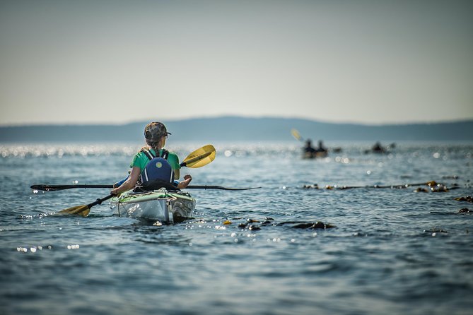 Kayaking in Deception Pass State Park - Customer Experiences and Feedback