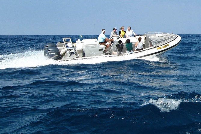 Kealakekua Bay Captain Cook Snorkel Exclusive - Guest Reviews and Experiences