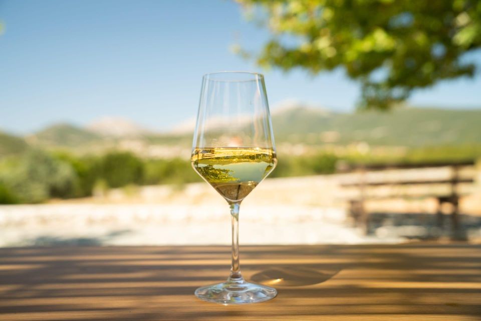 Kefalonia Wine Adventure in 3 Wineries With Tastings - Customer Feedback