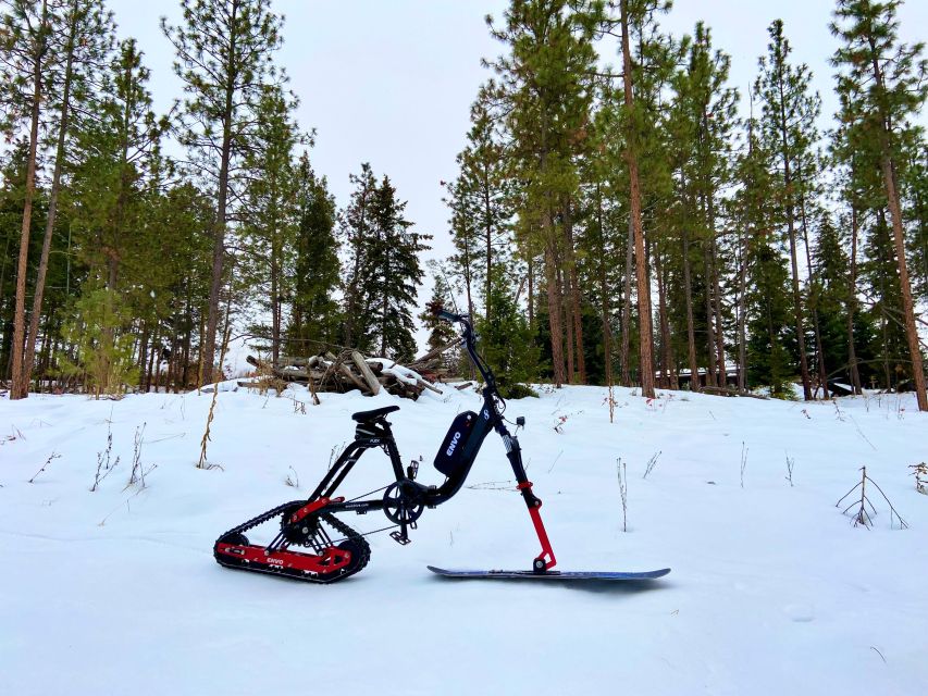 Kelowna: Snow E-Biking With Lunch, Wine Tastings & Smores - What to Expect on the Trail