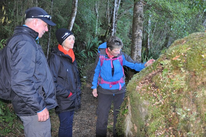 Kepler Track Boat and Hike - Meeting and Pickup Information