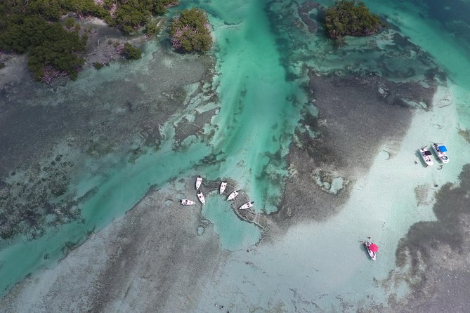 Key West Safari Eco Sandbar Tour Adventure With Snorkeling - Pricing and Cancellation Policy