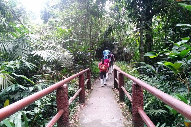 Khao Yai National Park Hiking Day Tour: Haew Narok and Haew Suwat - Pricing and Booking Information